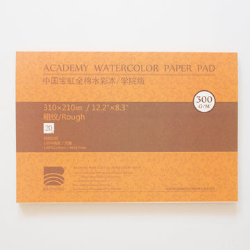 Baohong Academy 300g 31x21cm Rough 20 sheets