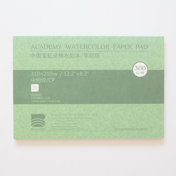 Baohong Academy 300g 31x21cm Cold pressed 20 sheets