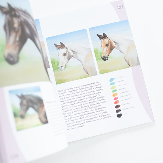 Basisboek Dieren tekenen en schilderen door Julia Woning