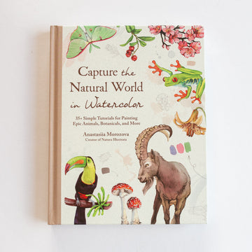 Capture the natural world in watercolor by Anastasiia Morozova