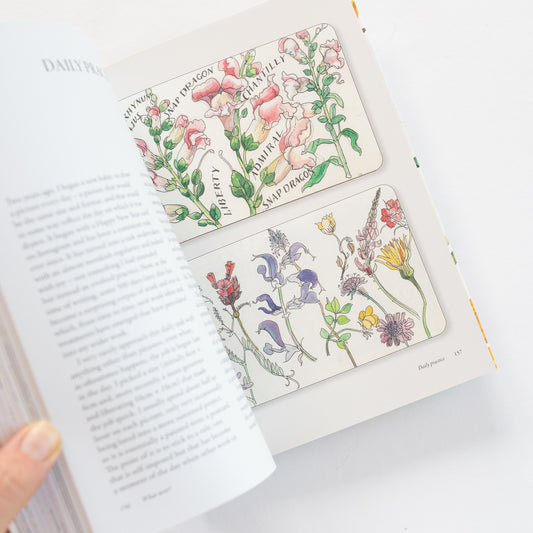 How to Look and Draw by Matthew Rice