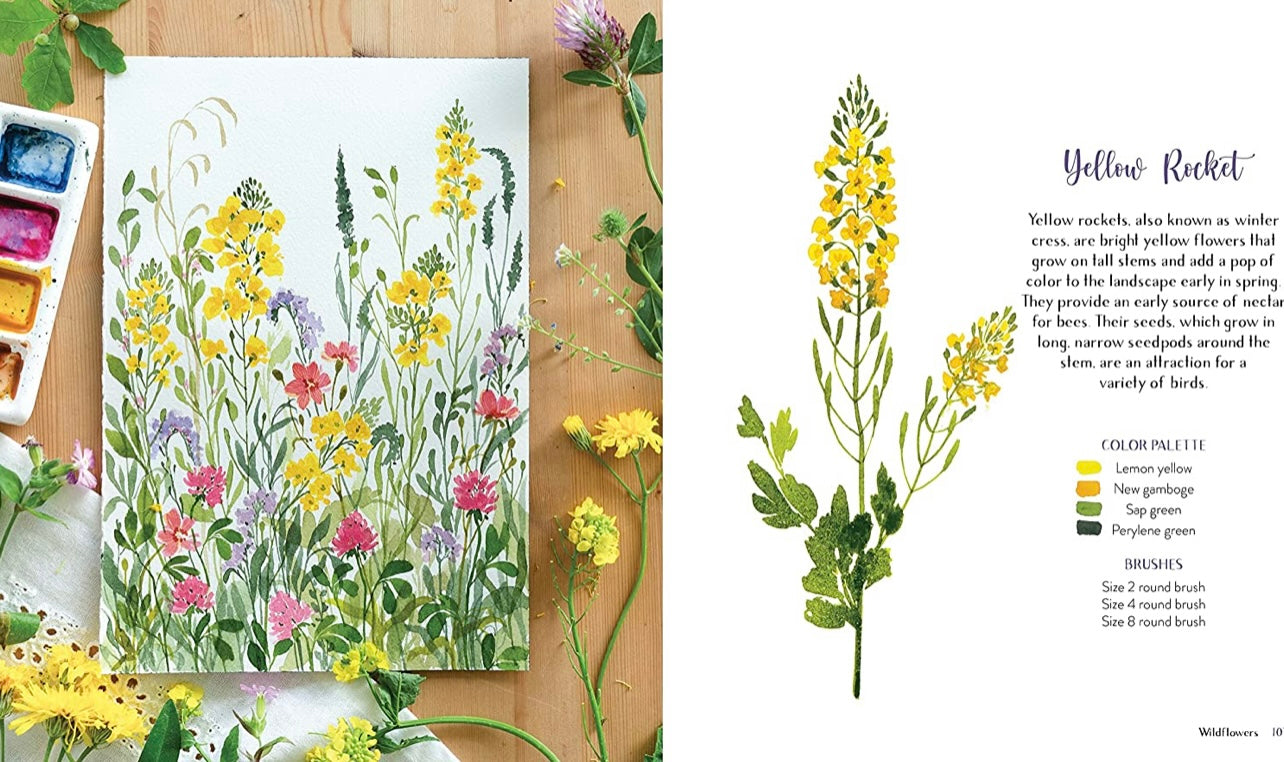 Wildflower watercolor