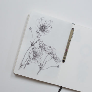 Het schetsboek voor de Perpetual (botanisch) kunstenaar