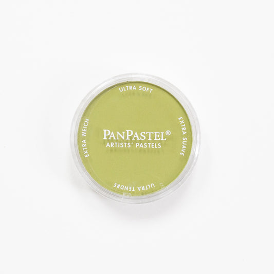 PanPastel Bright Yellow Green Shade