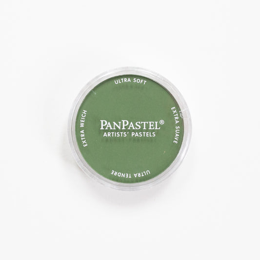 PanPastel Chromium Oxide Green Shade