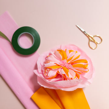 DIY Pakket 3x Juliet rose