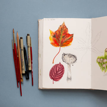 Begin hier met jouw Perpetual avontuur