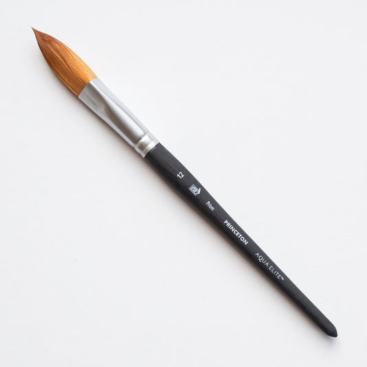 Princeton Aqua Elite Prism 12