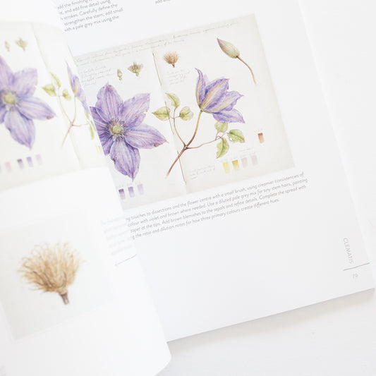 Sketching Nature by Dianne Sutherland