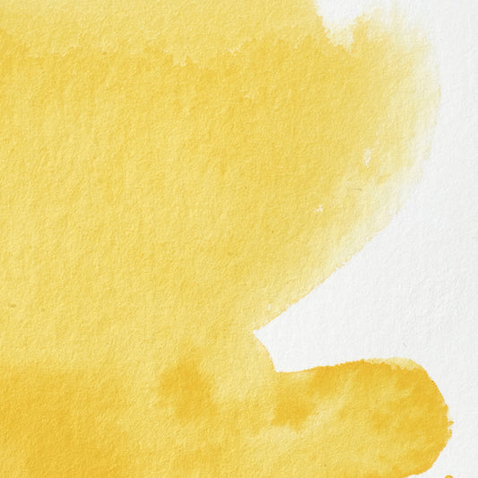 Winsor &amp; Newton Professional Water Color Cadmium free half pan Cadmium-Free Yellow Pale 4