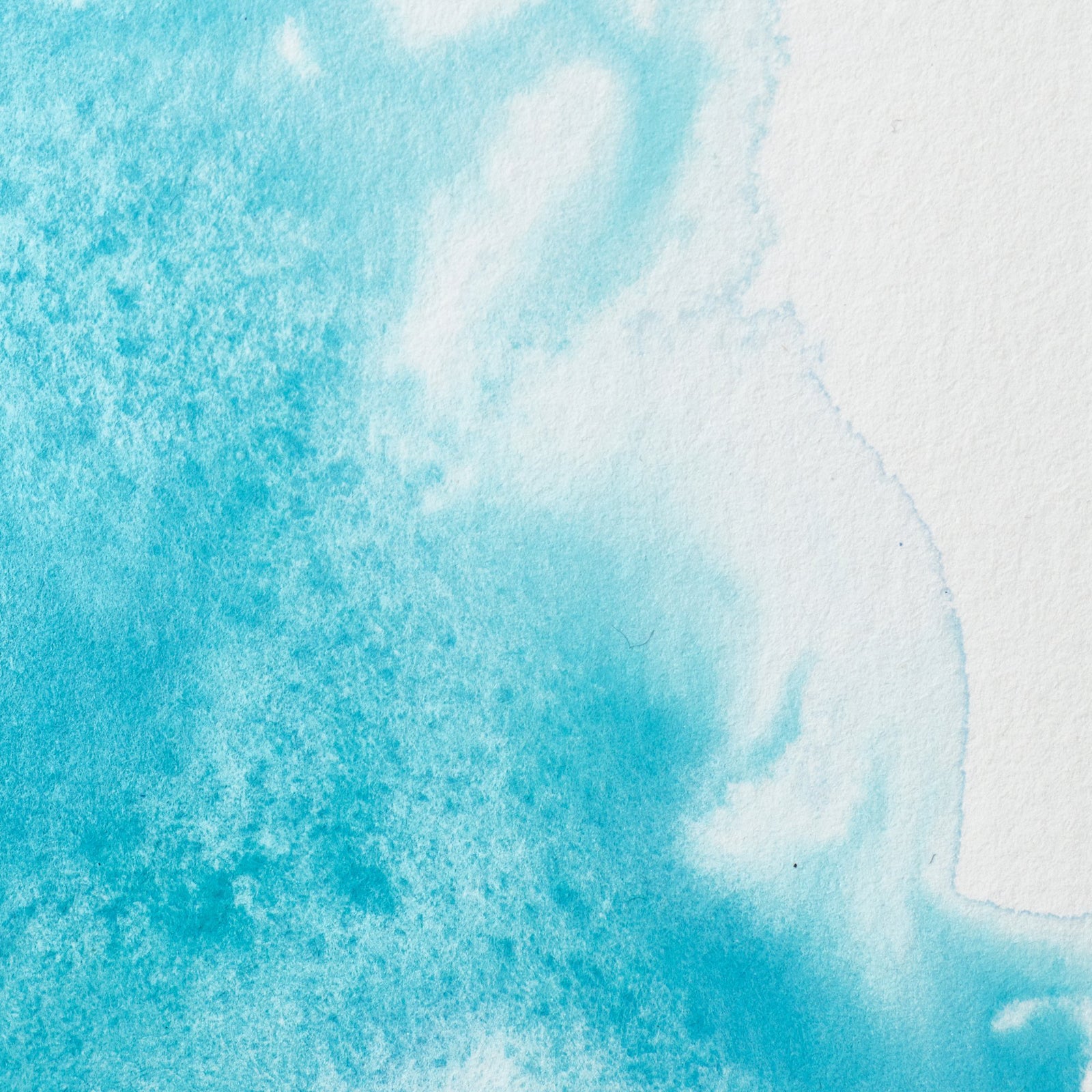 Winsor & Newton : Professional Watercolour : Half Pan : Cobalt Turquoise