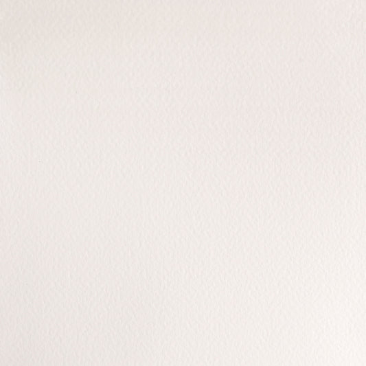 Winsor & Newton Professional Water Colours 5ml Chinese White 1