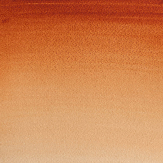 Winsor & Newton Cotman 8ml Burnt Sienna