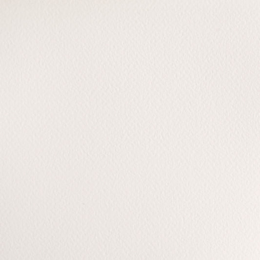 Winsor & Newton Cotman 8ml Chinese White