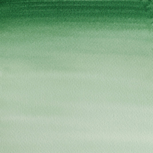 Winsor & Newton Cotman 8ml Hookers Green Dark