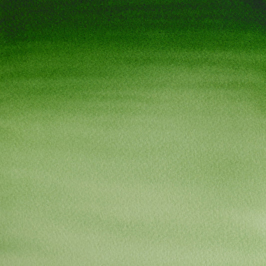 Winsor & Newton Cotman 8ml Hookers Green Light