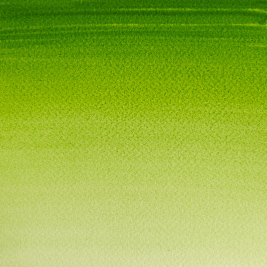 Winsor & Newton Cotman 8ml Sap Green