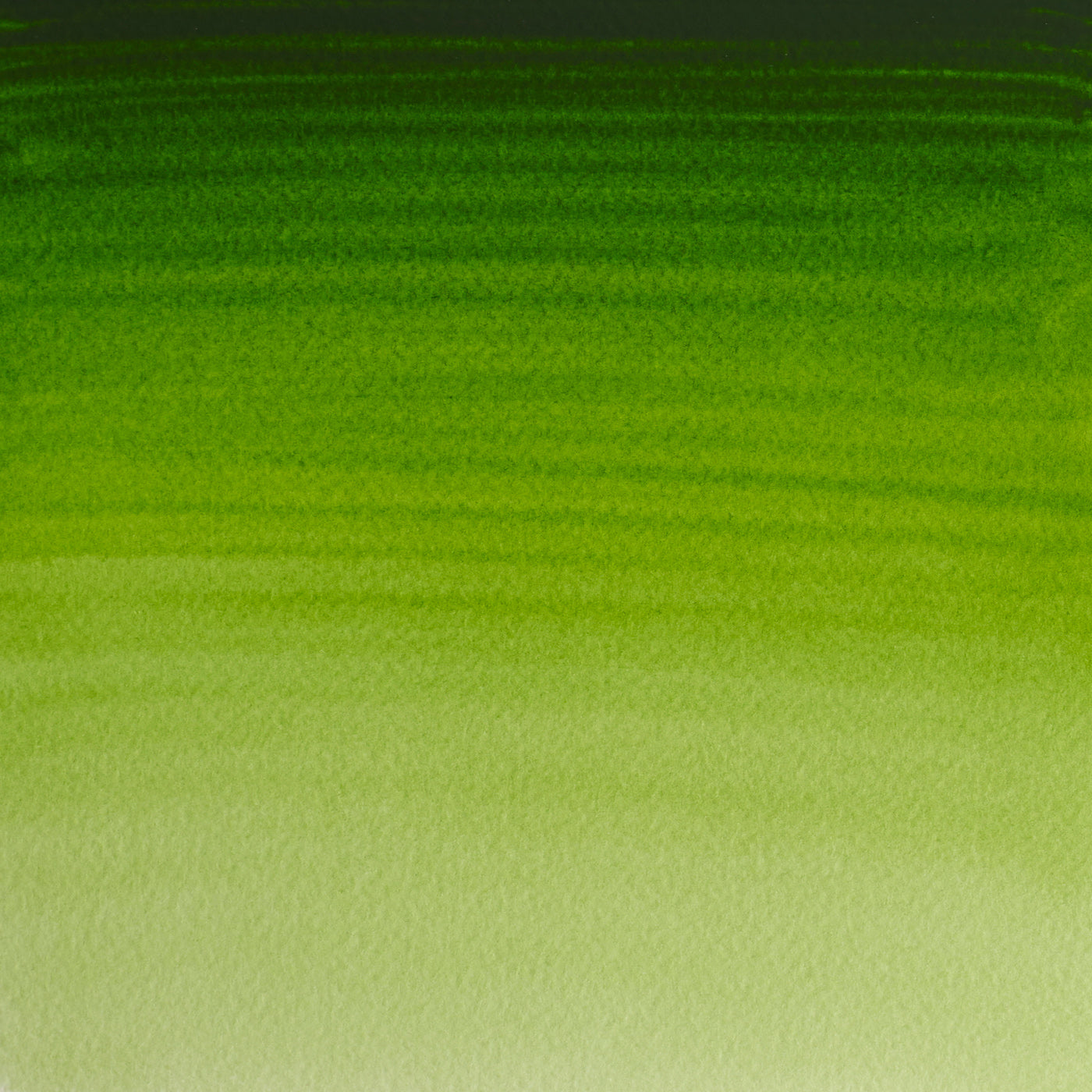 Winsor & Newton Professional Water Colours 5ml Permanent Sap Green 1