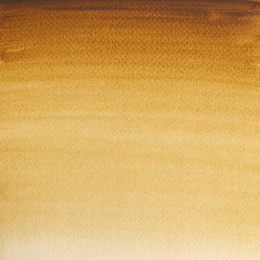 Winsor & Newton Professional Water Colours 5ml Raw Umber 1