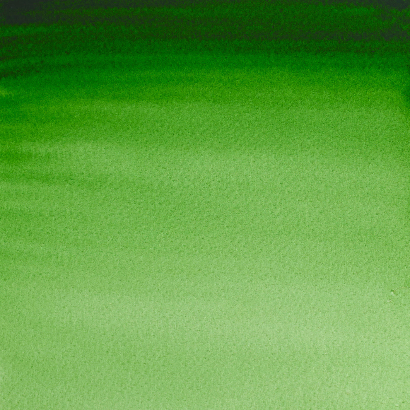 Winsor & Newton Professional Water Colours 5ml Hooker's Green 1