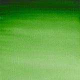 Winsor & Newton Professional Water Colours 5ml Hooker's Green 1