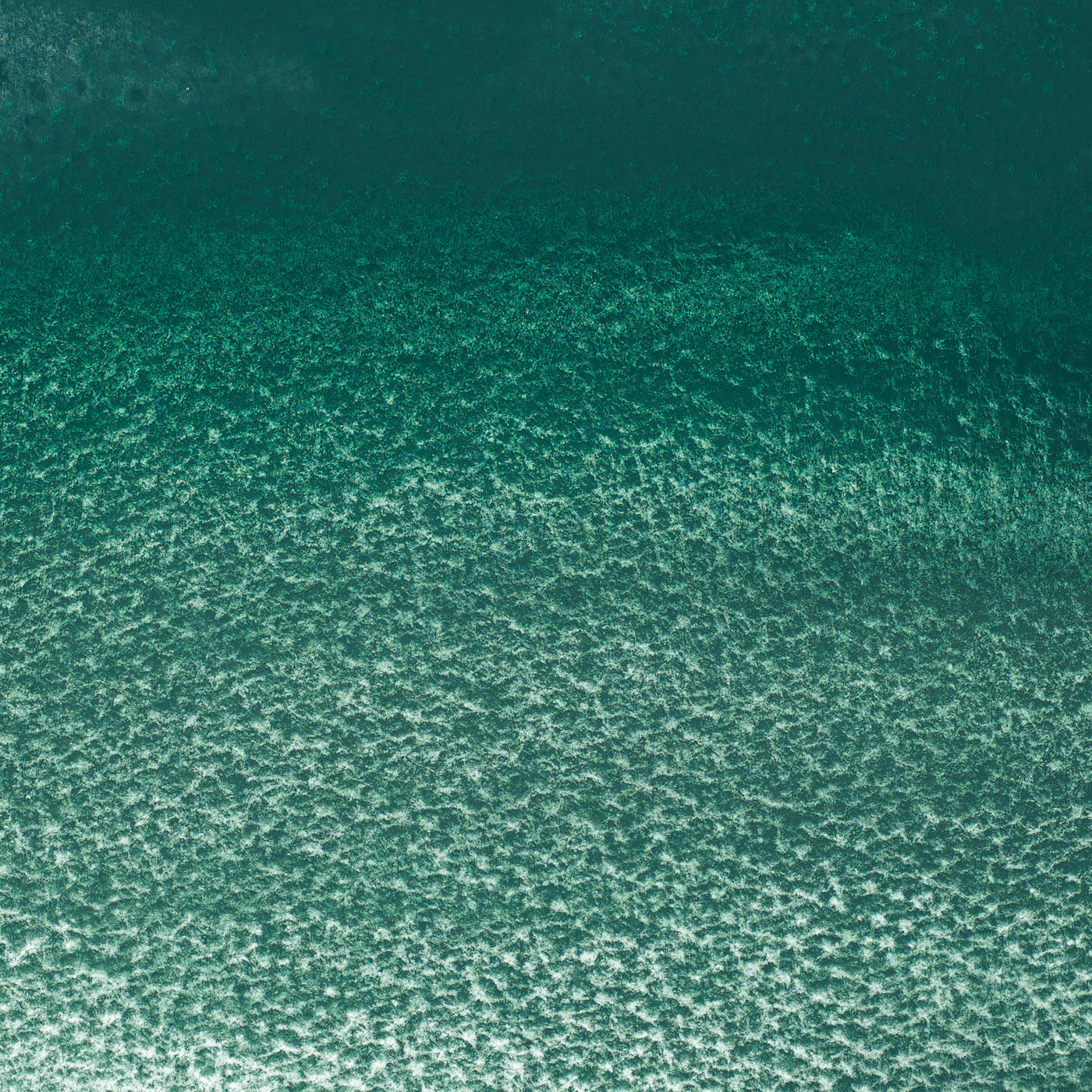 Winsor & Newton Professional Water Colours 5ml Cobalt Green Deep 3