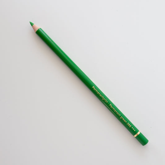 Faber-Castell Polychromos 266 Permanent Green