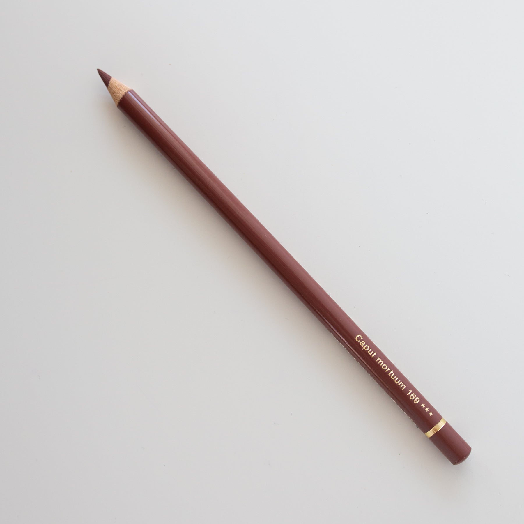 Faber-Castell Polychromos Pencil - 169 - Caput Mortuum
