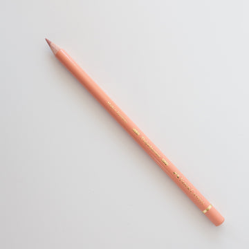 Faber-Castell Polychromos 189 Cinnamon