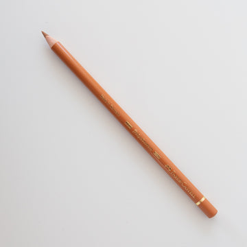 Faber Castell Polychromos 187 Burnt Ochre