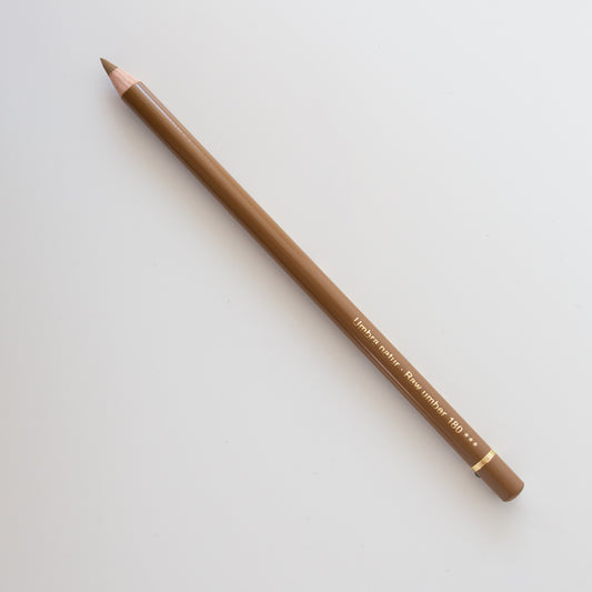 Faber-Castell Polychromos 180 Raw Umber