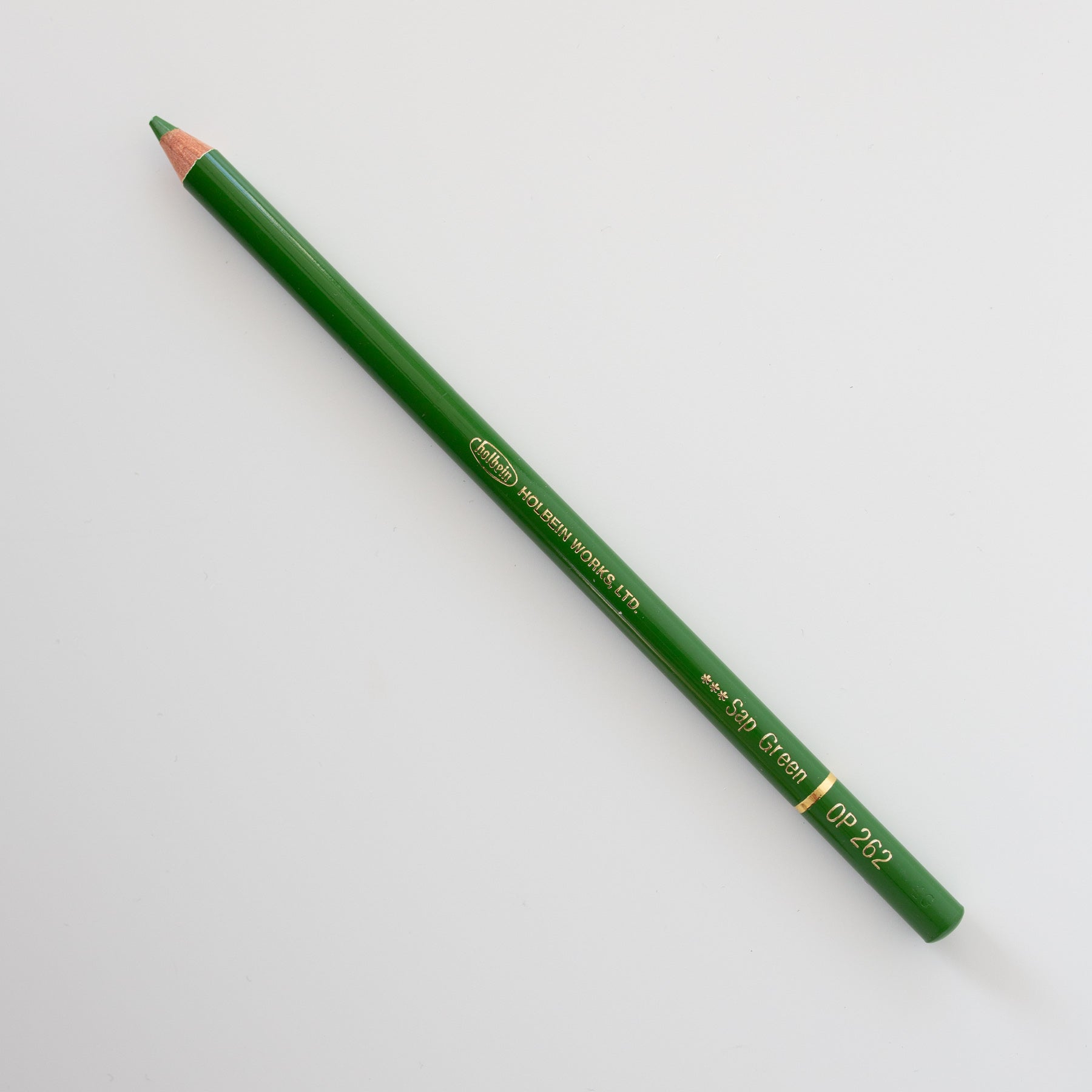 Holbein Colored Pencil OP262 'Sap Green'