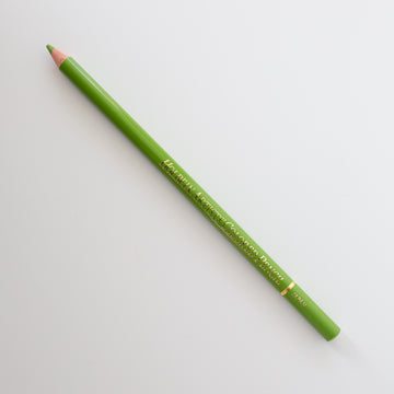 Holbein Colored Pencil OP291 'Leaf Green'