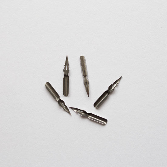 Kalligrafie nib Brause EF66