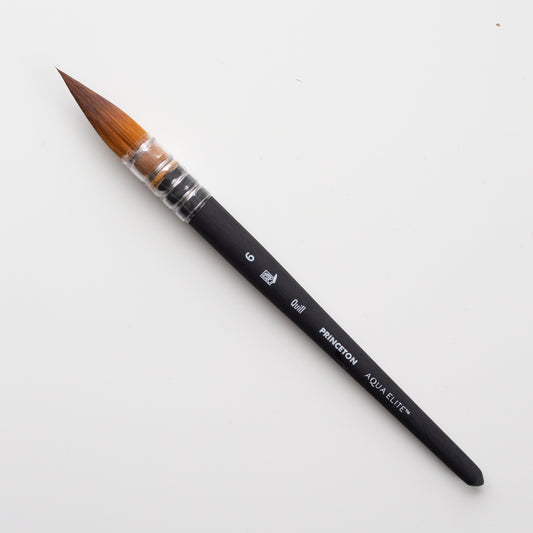 Princeton Aqua Elite Quill size 6
