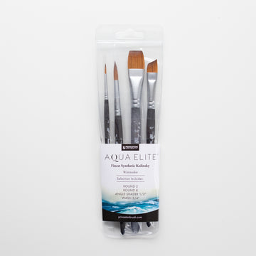 Princeton Aqua Elite Professional 4pc set