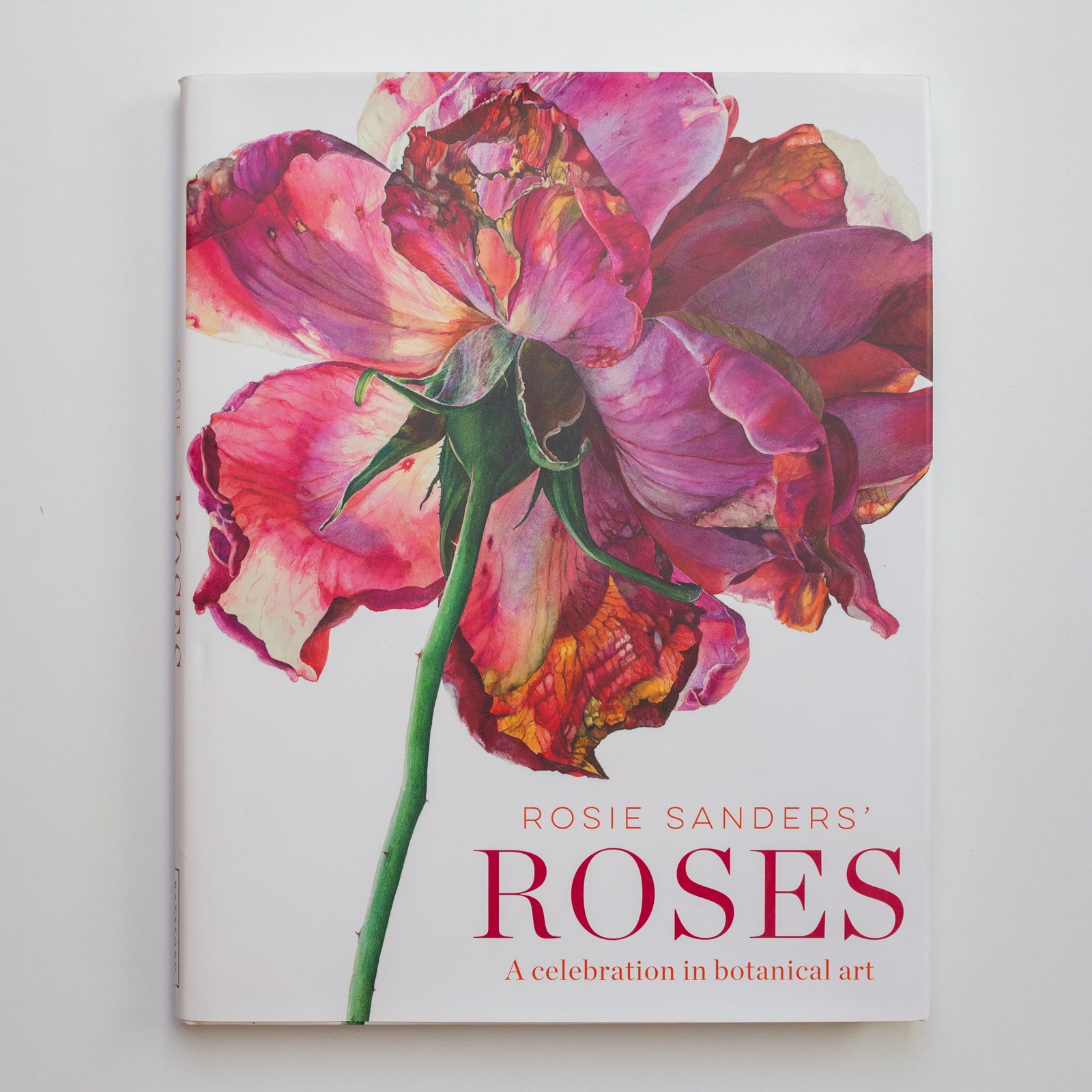 Roses by Rosie Sanders