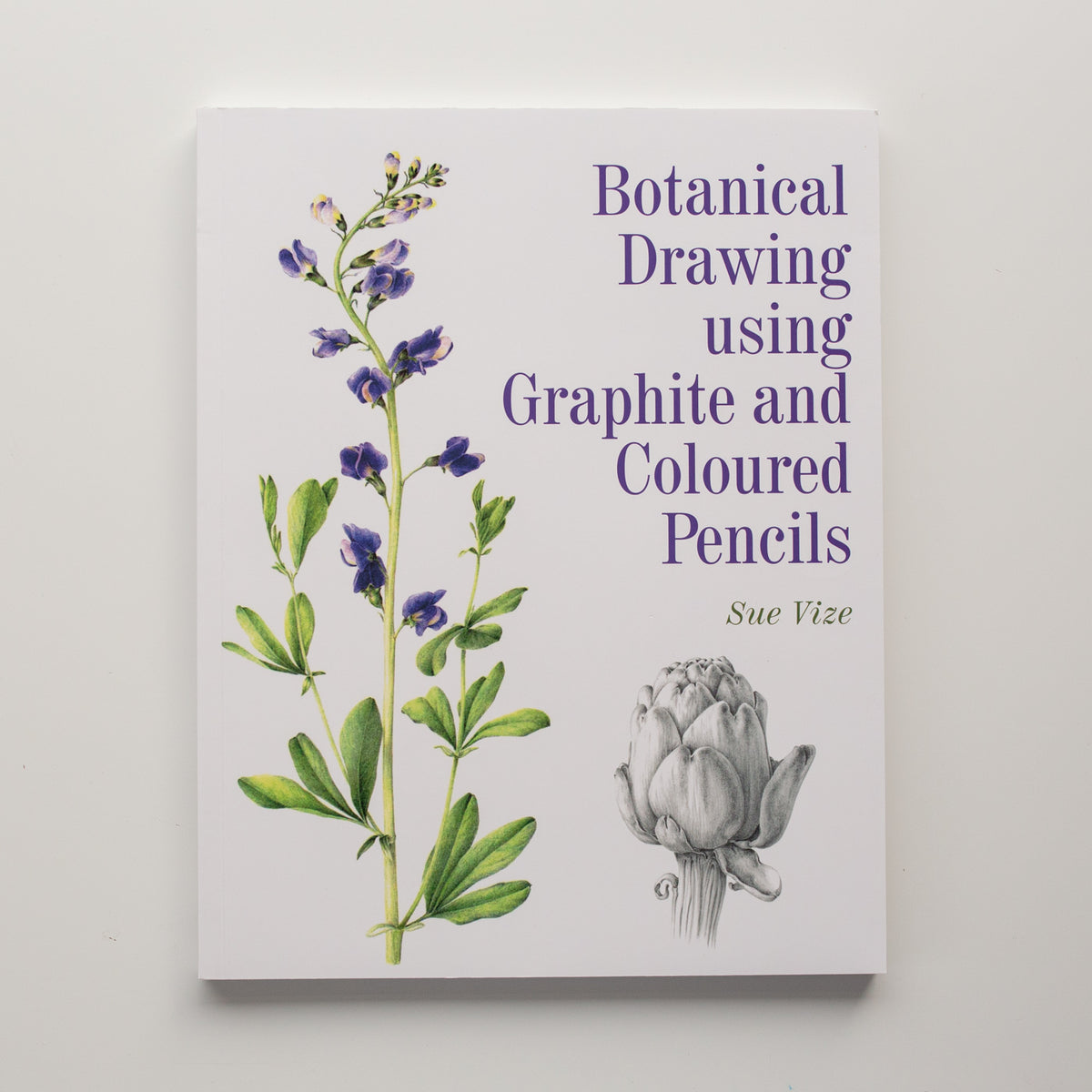 Botanisches Zeichnen mit Graphit- und Buntstiften von Sue Vize