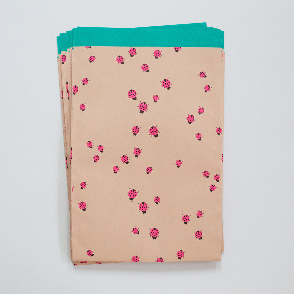 Flat bags Ladybug Fluor Pink 17x24cm