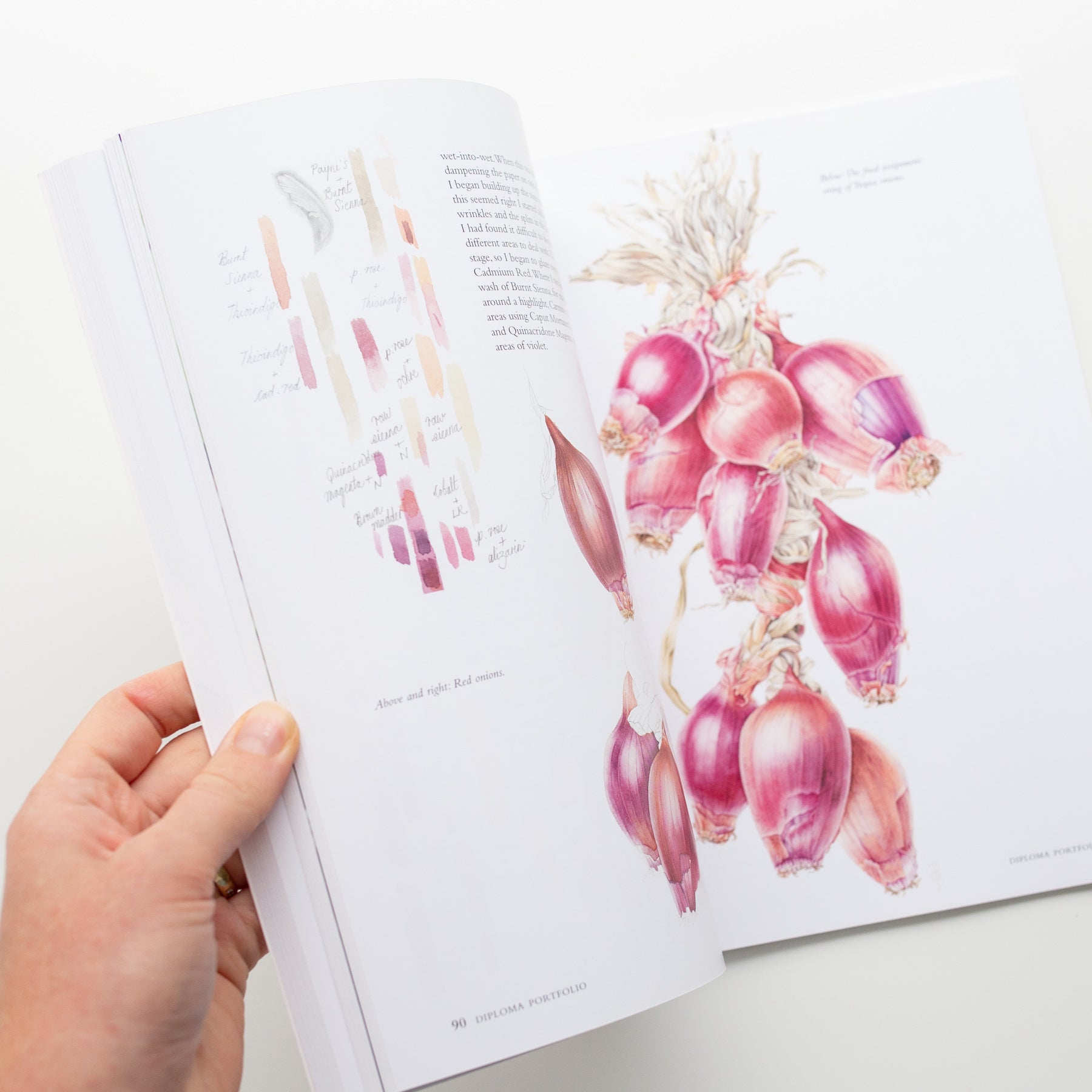 „Botanisches Skizzenbuch“ von Mary Ann Scott