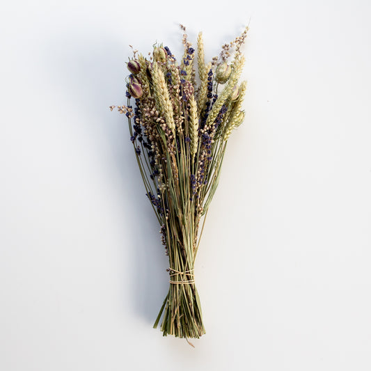 Dried Flowers Colored