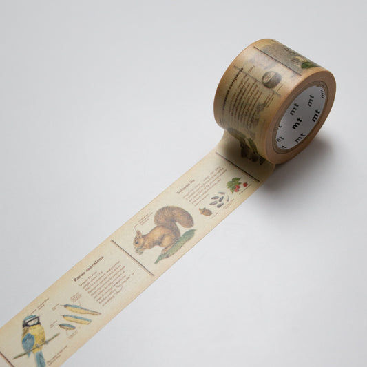 MT Masking tape Encyclopedia Animal