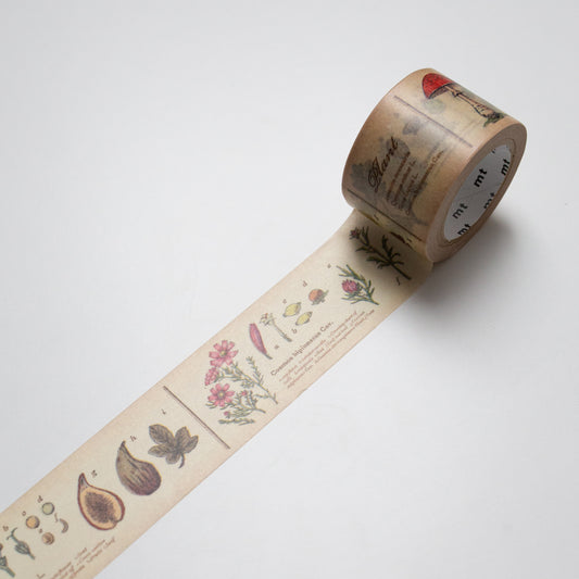 MT Masking tape Encyclopedia Plant