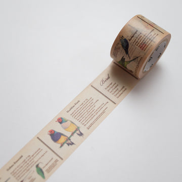 MT Masking tape Encyclopedia Bird