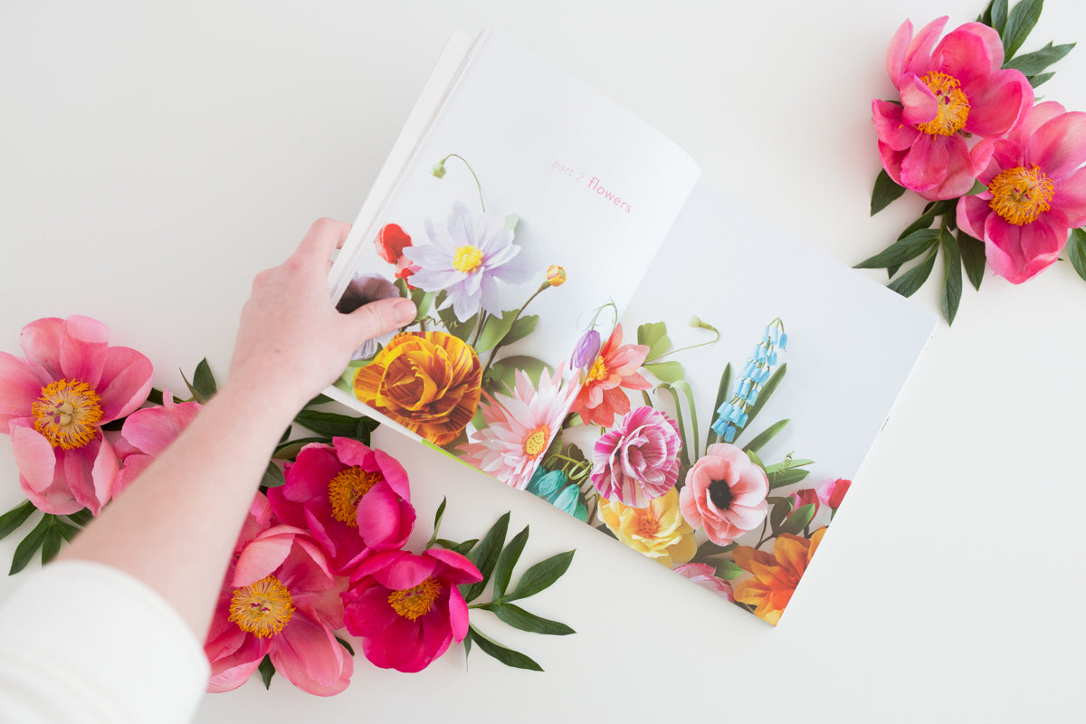 'Exquisite Book for Paper Flowers' by Livia Cetti