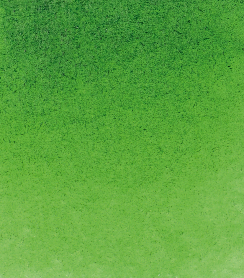 Schmincke Horadam® Halbschalensaft grün