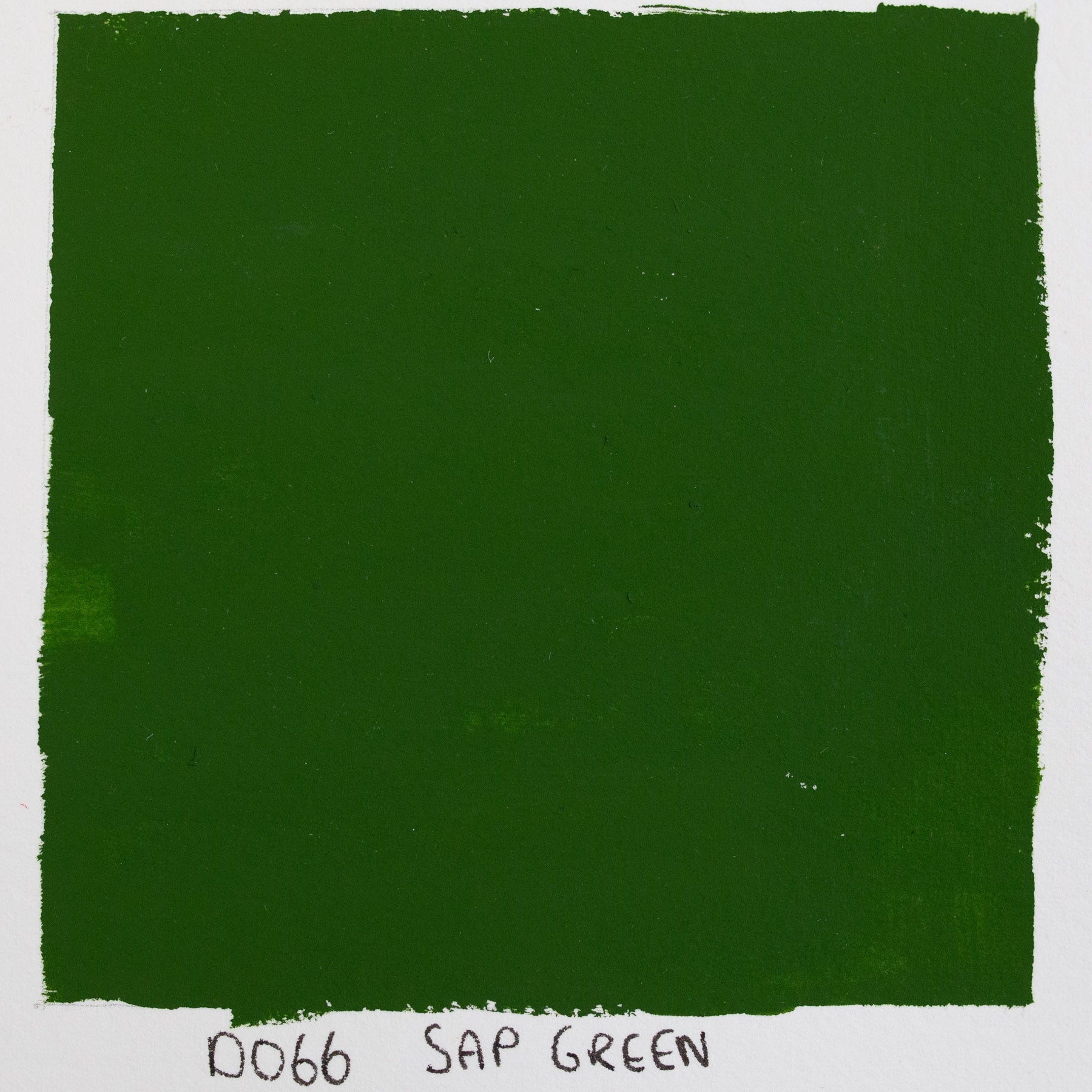 Holbein Acryla Gouache D066 A 'Sap Green'