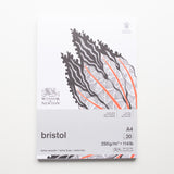 Winsor & Newton Bristol 250g 20 sheets A4