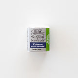 Winsor & Newton Cotman 599 Sap Green